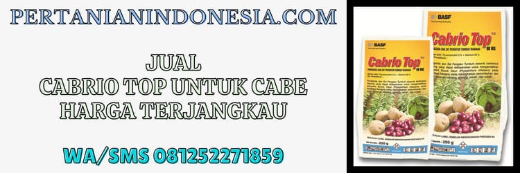 jual,murah,pertanian indonesia,fungisida cabrio top,cabriotop basf